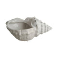 White shell pot decoration L31.5 W20 H13.6cm